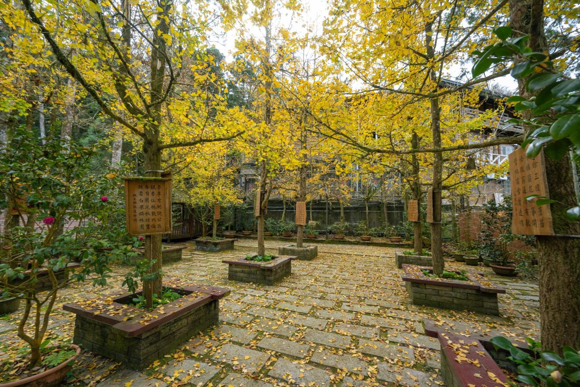 Ginkgo Hotel Lugu Exterior photo